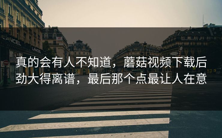 真的会有人不知道，蘑菇视频下载后劲大得离谱，最后那个点最让人在意